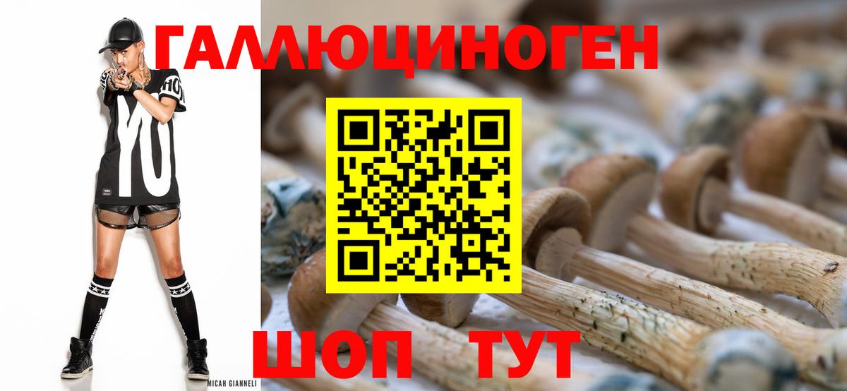 Галлюциногенные грибы мицелий  Вход с VPN  Галлюциногенные грибы Psilocybine cubensis  Электросталь 